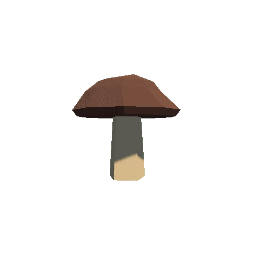 Mushroom_1 Variant